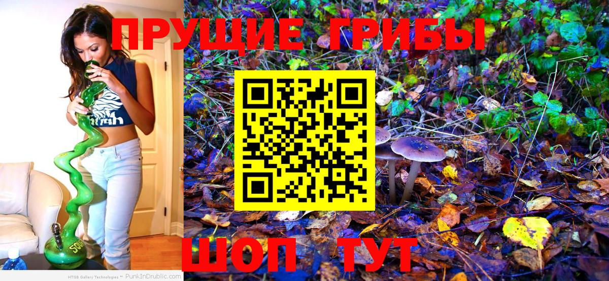 Галлюциногенные грибы Magic Shrooms  Вход с VPN  Малоярославец 